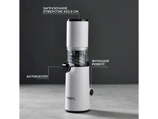 Шнековая соковыжималка Scarlett SC-JE50S59